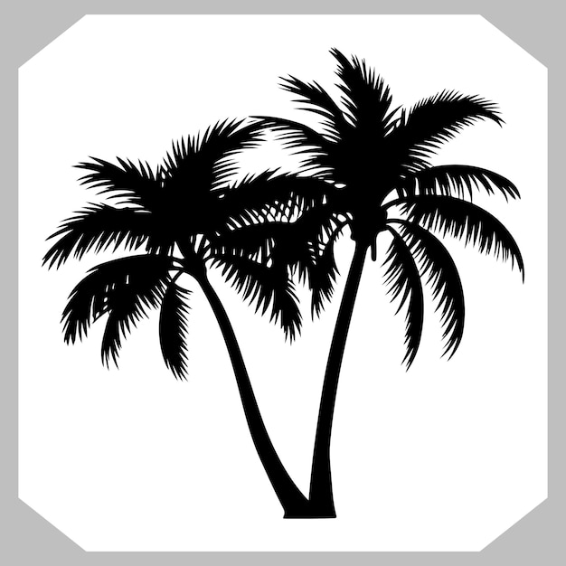 Vector del logotipo del árbol de coco con silueta Ilustración vectorial clásica de la palmera