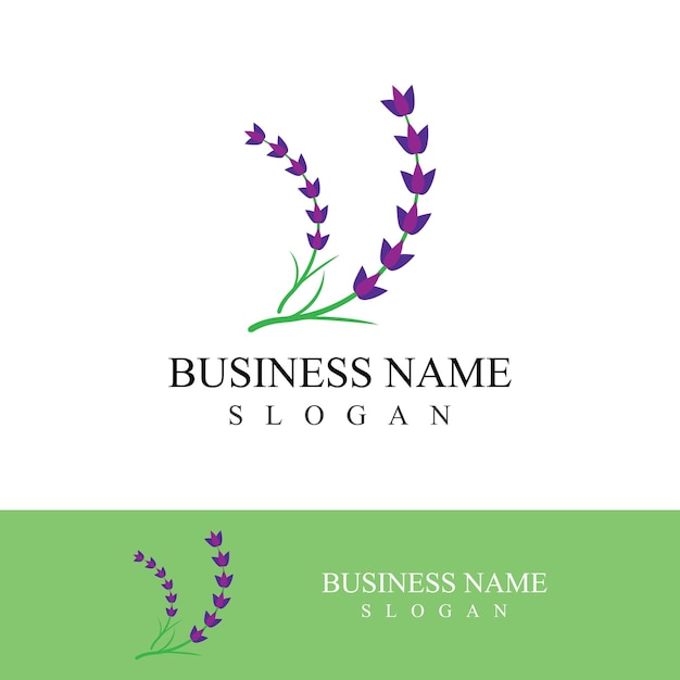 Vector de logotipo de flor de lavanda fresca