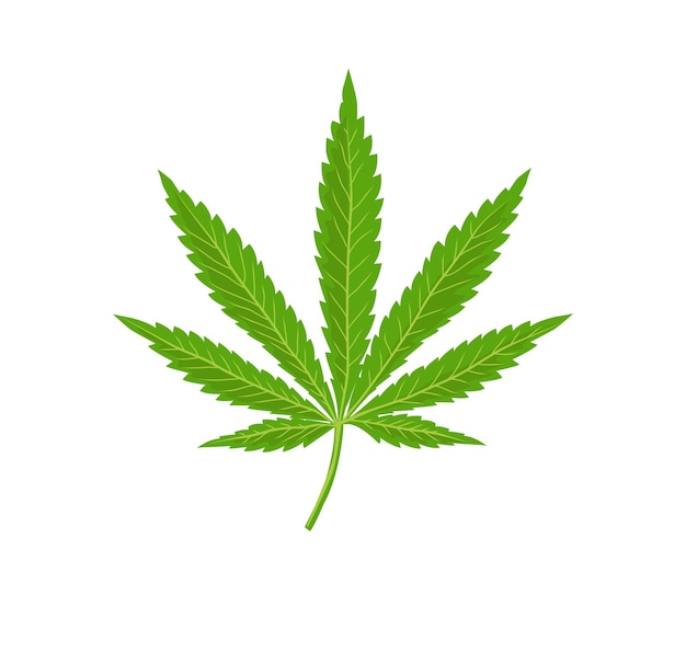 Vector vector del logotipo de la hoja de cannabis