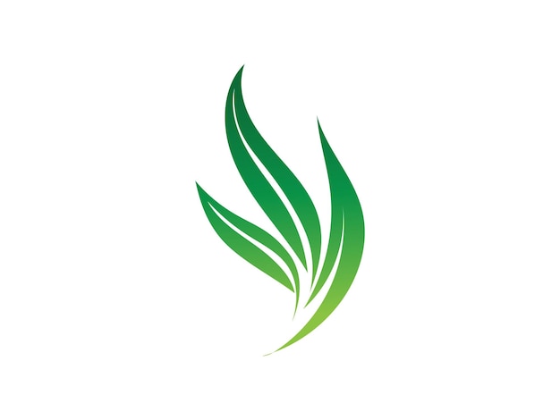 Vector de logotipo de hoja de diseño colorido degradado de logotipo de hoja