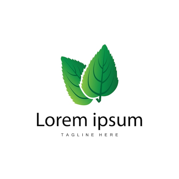 Vector de logotipo de hoja verde planta natural diseño de la naturaleza icono ilustración de plantilla de hoja