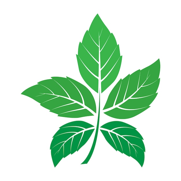 Vector del logotipo de la hoja