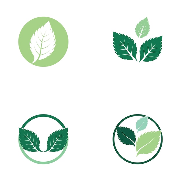 Vector de logotipo de naturaleza fresca de hoja de menta