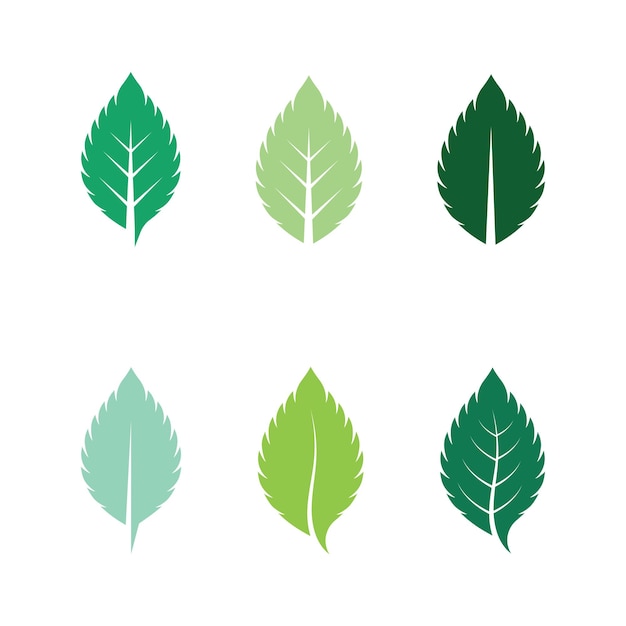 Vector de logotipo de naturaleza fresca de hoja de menta