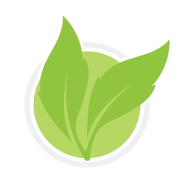 Vector de logotipo y símbolo de hoja verde