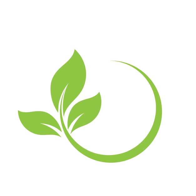 Vector de logotipo y símbolo de hoja verde