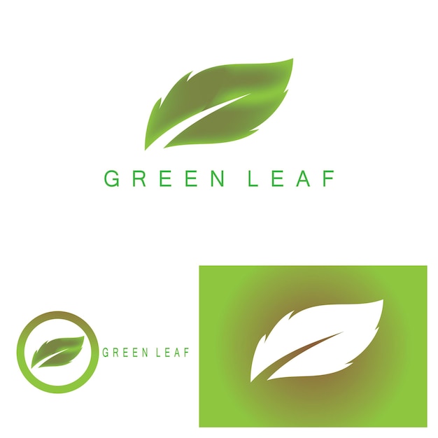 Vector de logotipo y símbolo de hoja verde