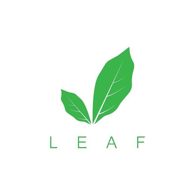 Vector de logotipo y símbolo de hoja verde