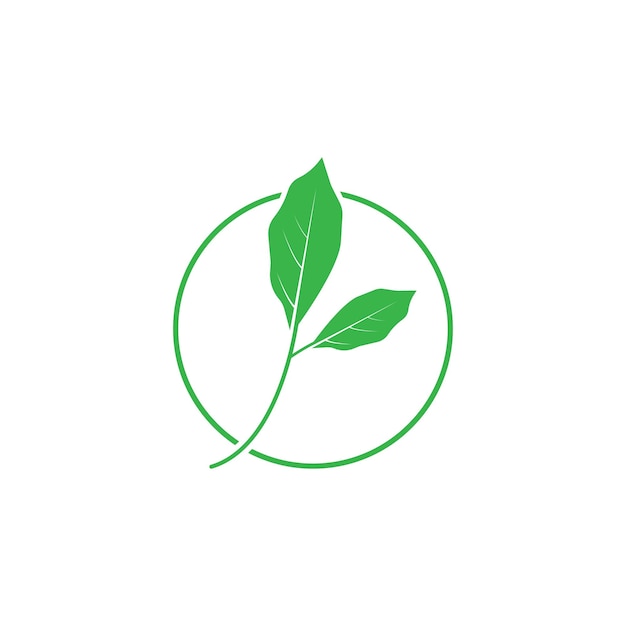 Vector de logotipo y símbolo de hoja verde