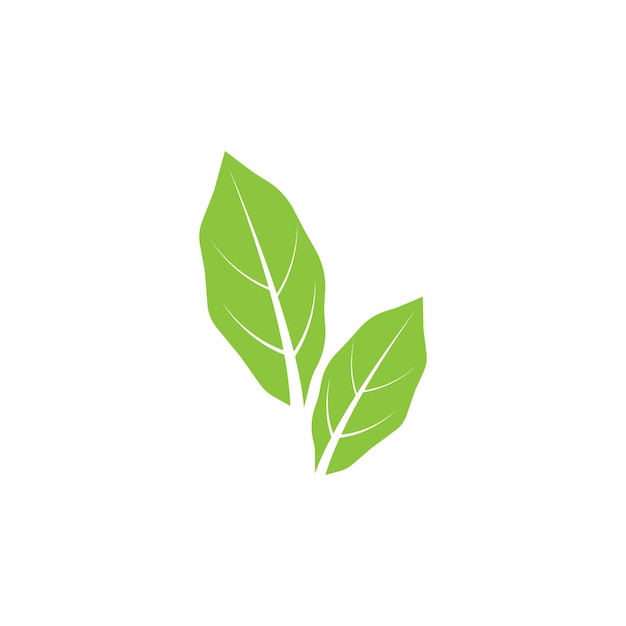 Vector de logotipo y símbolo de hoja verde