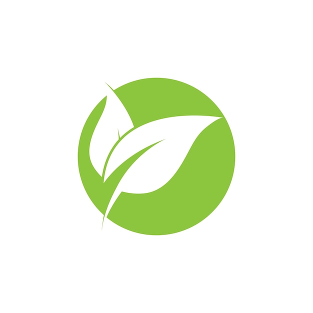 Vector de logotipo y símbolo de hoja verde
