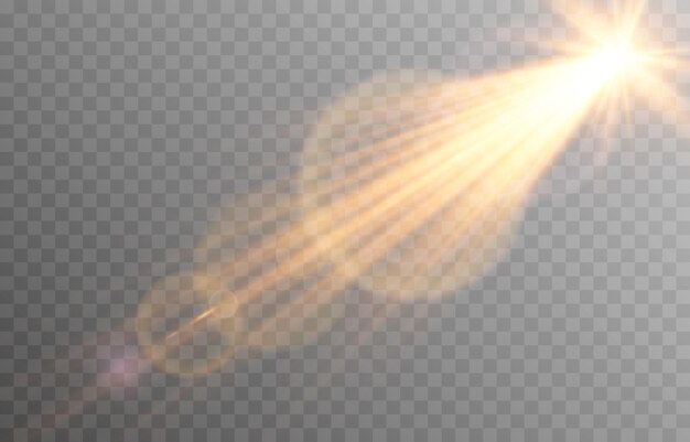 Vector luz dorada con deslumbramiento