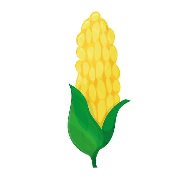 Vector de maíz sobre fondo blanco imagen de dibujos animados lindo el concepto de cosecha