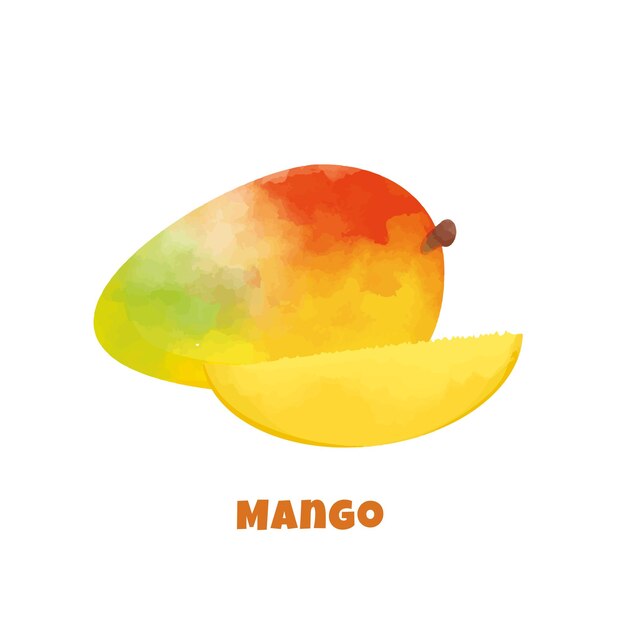 Vector vector de mango colorido aislado sobre fondo blanco