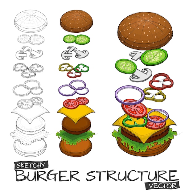 Vector mano bosquejo con color de hamburguesas y componentes