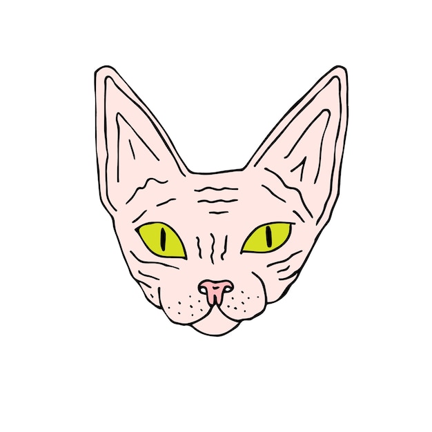 Vector mano dibujada garabato coloreado cara de gato Sphynx