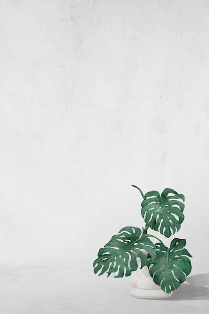 Vector de marco de hojas de monstera en blanco