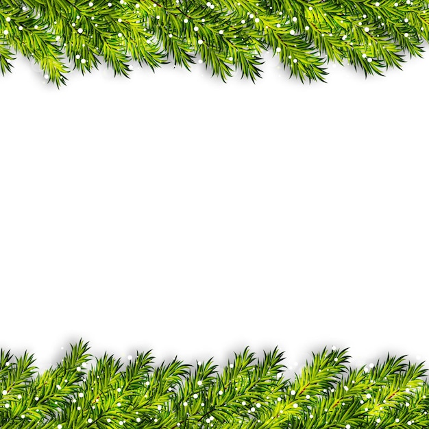 Vector de marco de ramas de árbol de navidad