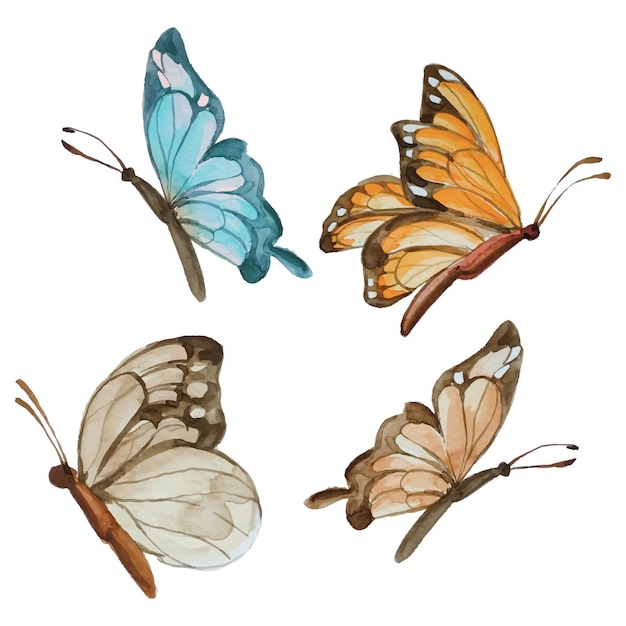Vector vector de la mariposa acuarela clip art