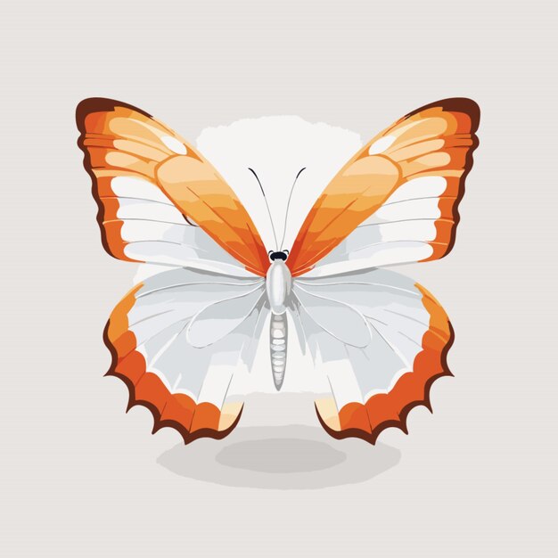 Vector de mariposa sobre fondo blanco