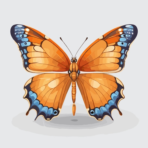 Vector de mariposa sobre un fondo blanco