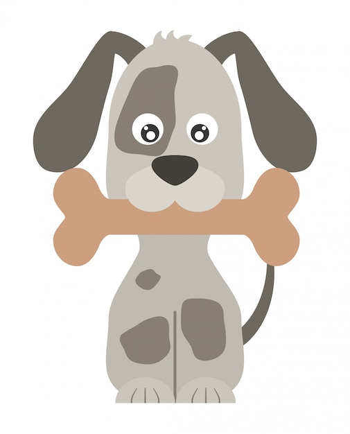 Vector de mascota