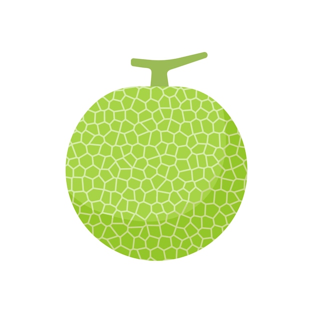 Vector melón jugosa naranja carnosa fruta en rodajas melón fruta