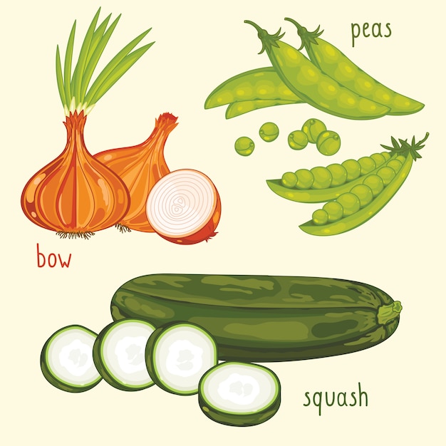 Vector de mezcla de verduras