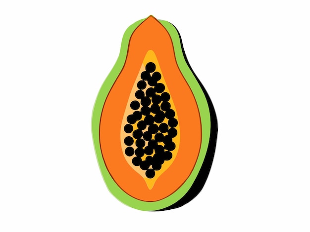 Vector minimalista de frutas de papaya en rodajas sobre un fondo blanco