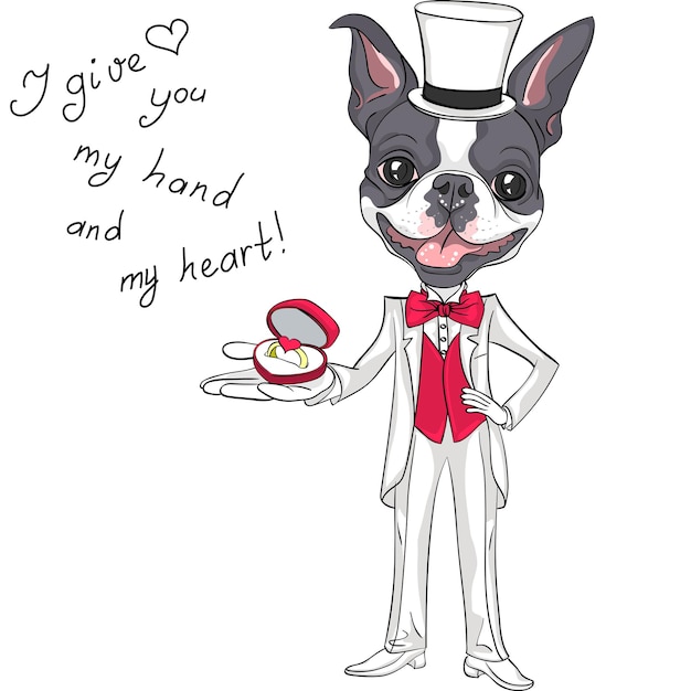 Vector moda novio elegante perro boston terrier