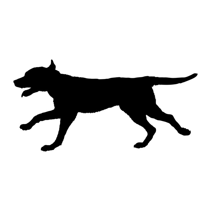 Vector vector del monograma del logotipo de las razas de perros