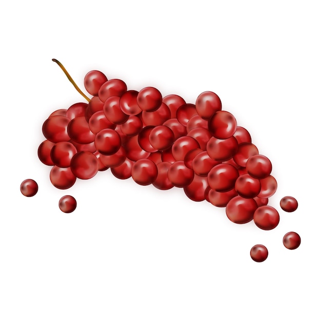 Vector un montón de uvas rojas vector realista