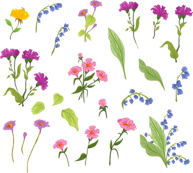 Un vector de muchas hermosas flores silvestres