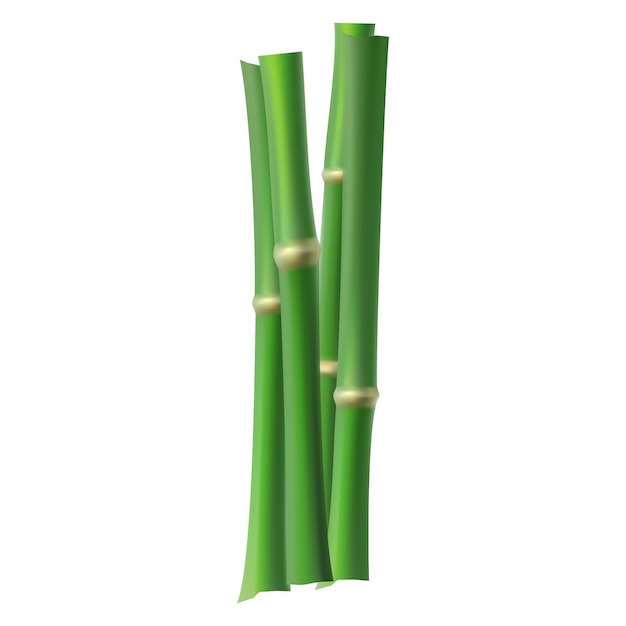 Vector muchos tallos de bambú ilustración sobre fondo blanco