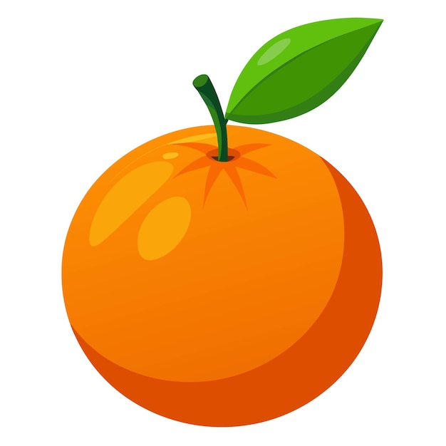 Vector de naranja sobre fondo blanco