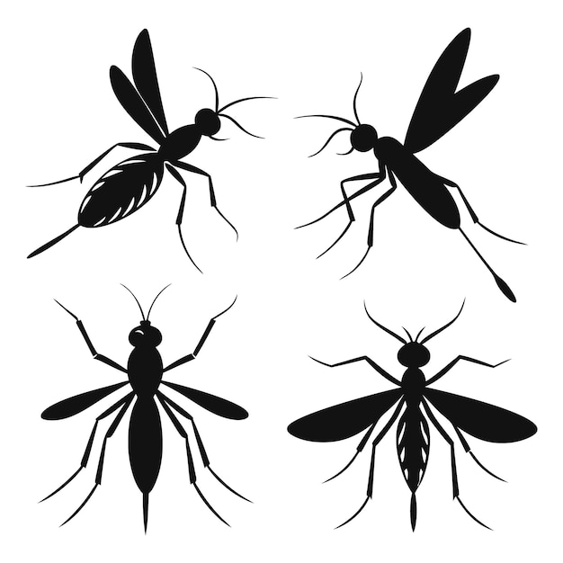 El vector negro de la silueta del mosquito