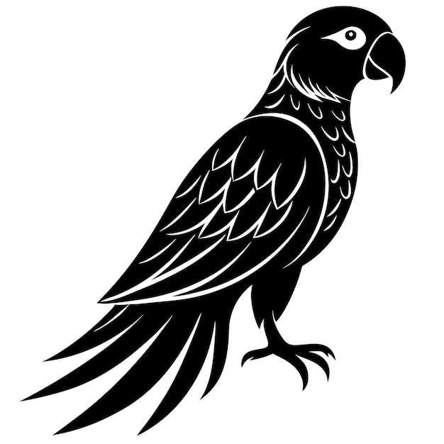 Vector negro de silueta de pájaro loro