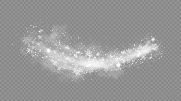 Vector de nieve aislada fondo de invierno nieve superposición ilustración copos de nieve y hielo