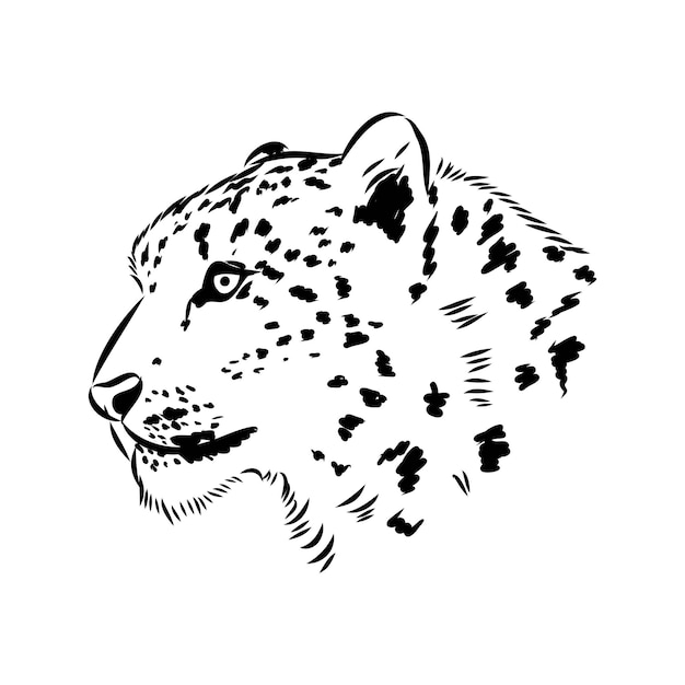 Vector vector nieve leopardo irbis gatos salvajes ilustración gráfica