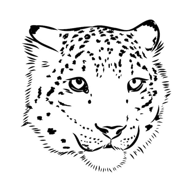 Vector nieve leopardo irbis gatos salvajes ilustración gráfica