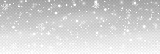 Vector de nieve Nieve sobre un fondo transparente aislado Nevadas copos de nieve de invierno ventisca