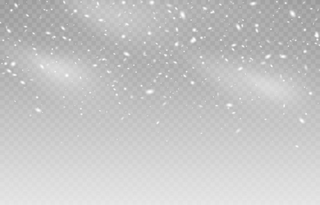 Vector de nieve Nieve sobre un fondo transparente aislado Nevadas copos de nieve de invierno ventisca
