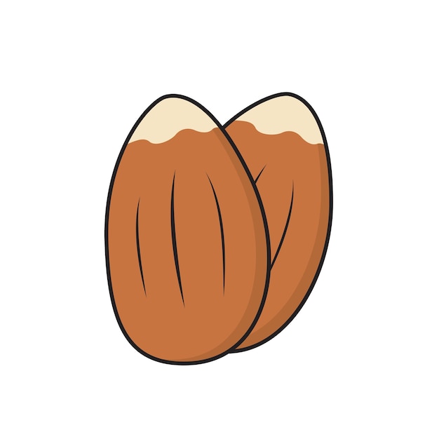 Vector de nueces plano vector de nueces en blanco