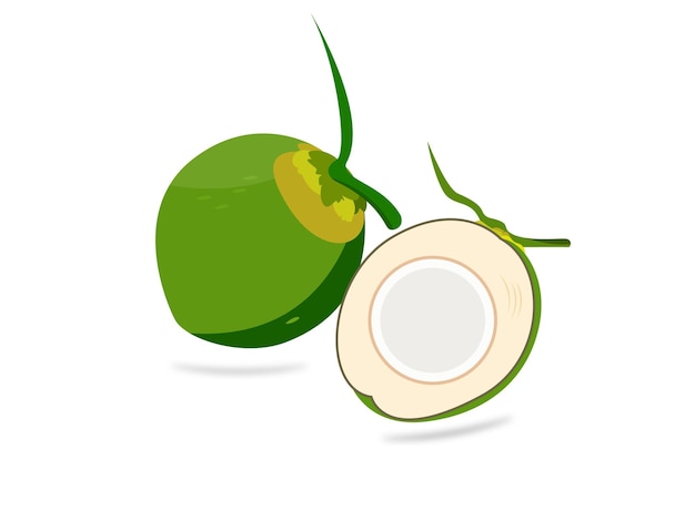 Vector de nutrición de coco verde