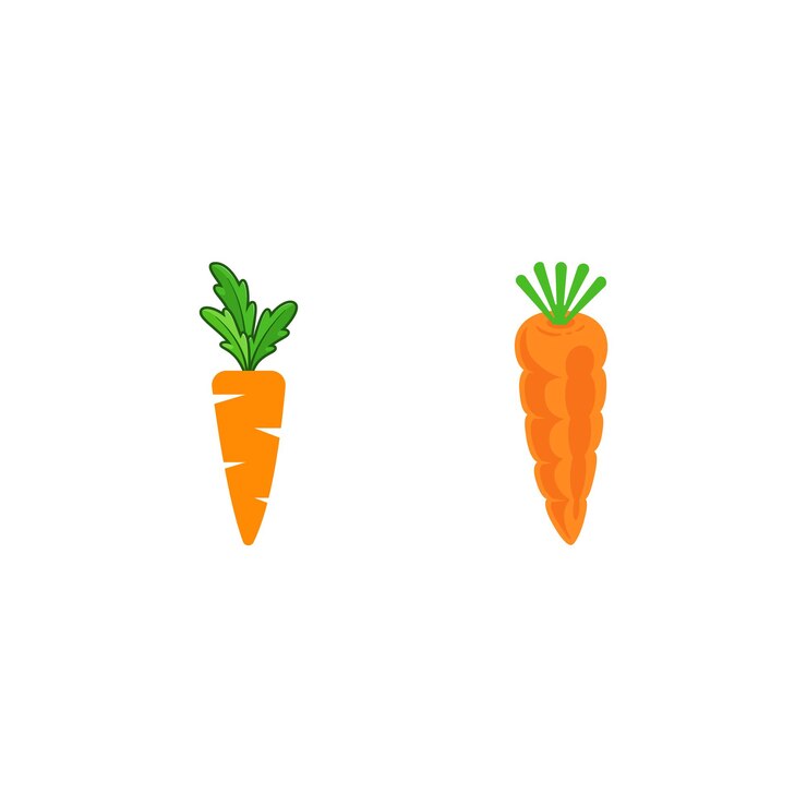 Vector o icono de zanahoria