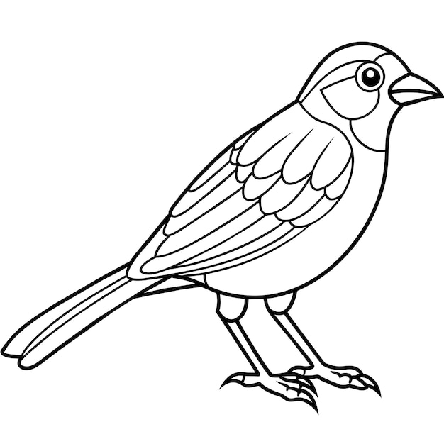 Vector de la página 36 del libro de colorear pájaros de pinzón