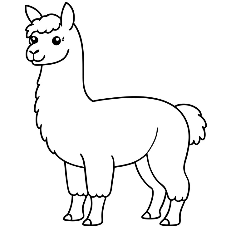 Vector vector de la página de colorear llama