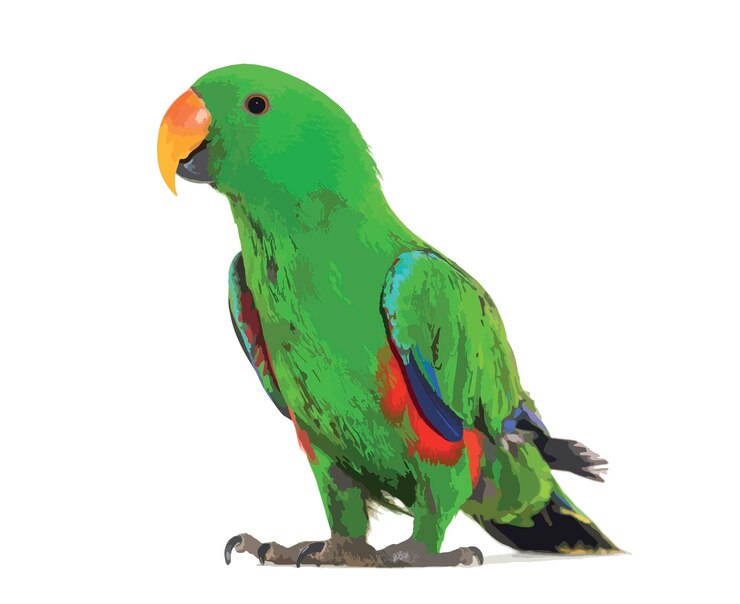Vector vector de un pájaro verde, aislado en blanco