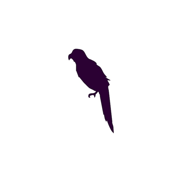 Vector de pájaro