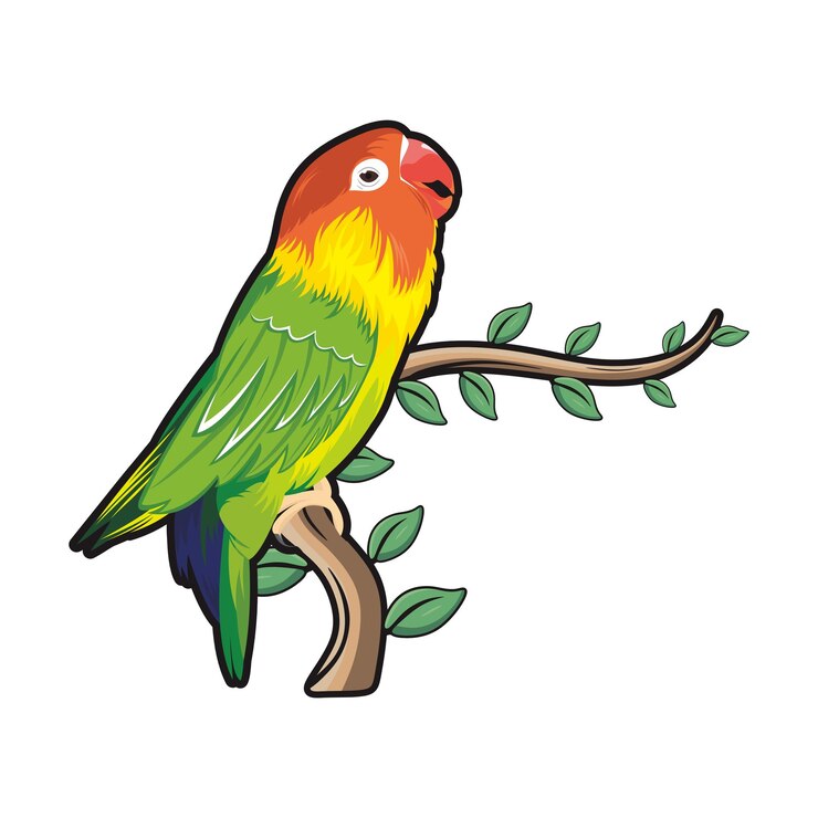 Vector vector de los pájaros del amor